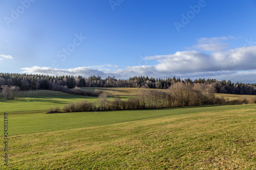 Winter. Field. Meadow. Forest. Hill. Sky © sarenac77