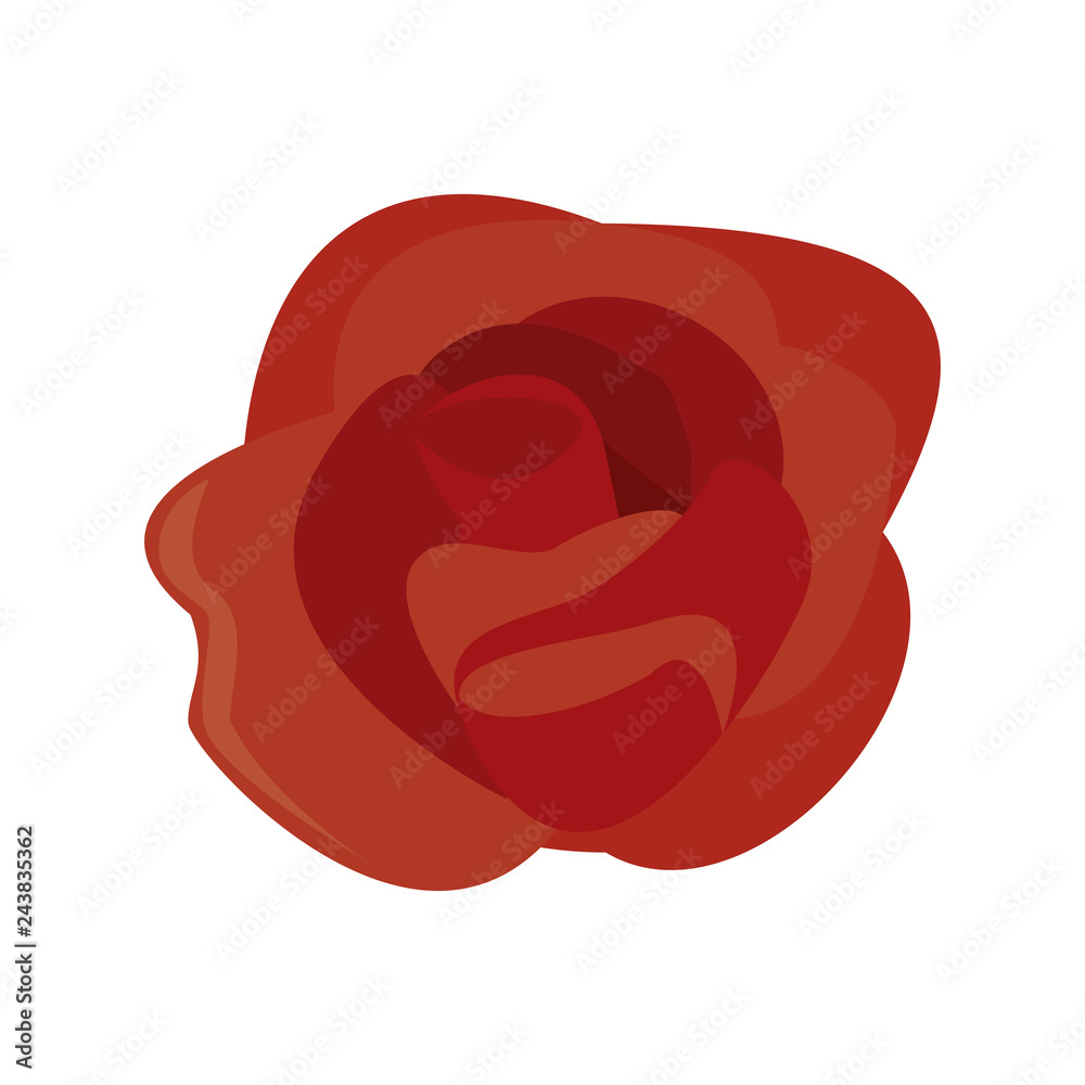 Flowers nature cartoon Flowers nature cartoon