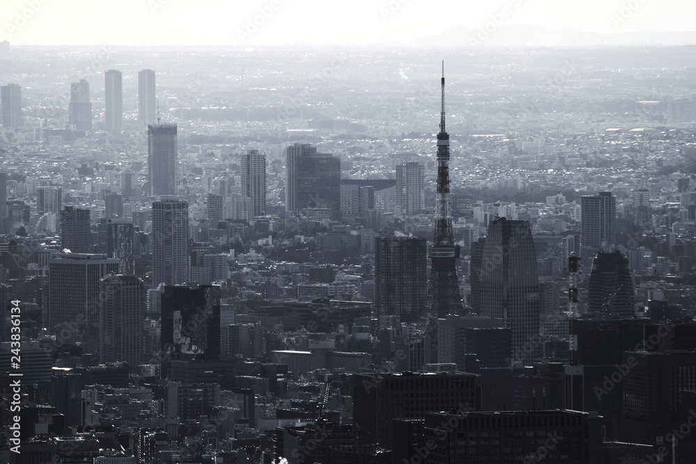 Gray monochrome city Tokyo