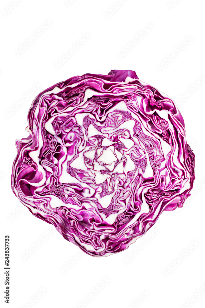 Red cabbage slice isolated. Fibonacci ilustration Red cabbage slice isolated. Fibonacci ilustration
