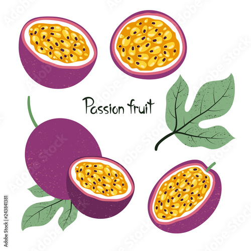 Set of passion fruit isolated on white. Vector illustration.