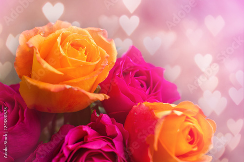 Orange and purple roses with hearts background. Valentine s day 
