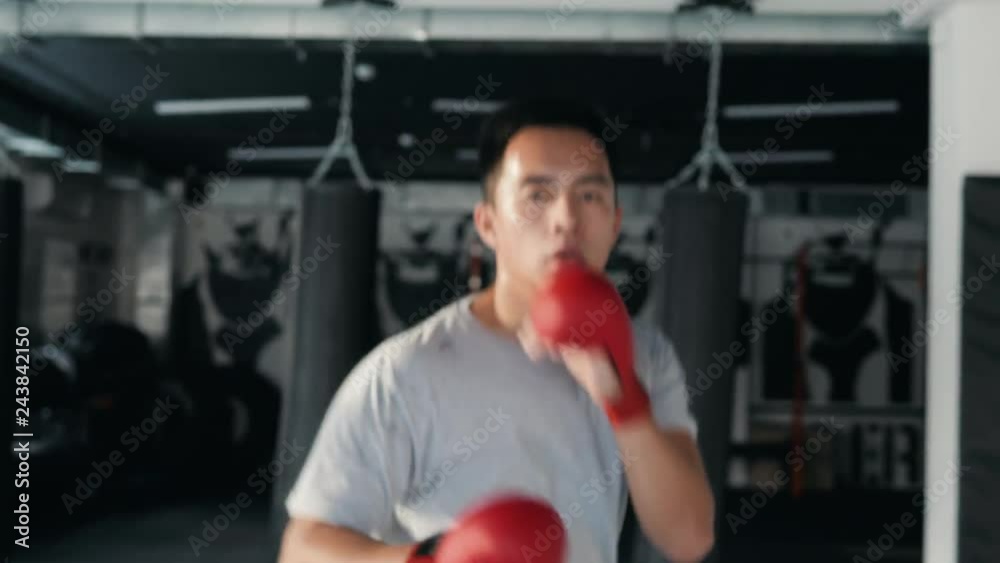 Man is hitting an opponent. Focused fighter boxing gloves looking at the camera. Boxer hit camera training kickboxing leg foot punch Man is hitting an opponent. Focused fighter boxing gloves looking at the camera. Boxer hit camera training kickboxing leg foot punch