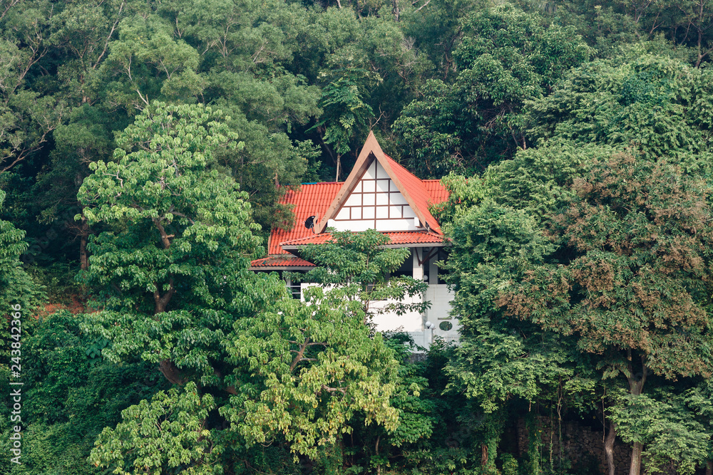 Phuket, Thailand. House in the jungle on the hill. Kata beach. The orange roof and white wall is seen from the green thickets