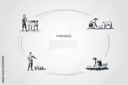 Farming - women feeding animals, picking harvest, taking care of hives vector concept set