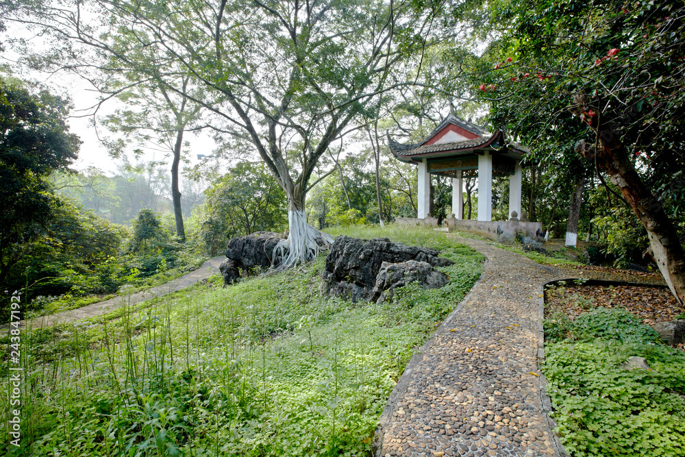 Beautiful Chinese park view, elegant garden pavilion Beautiful Chinese park view, elegant garden pavilion