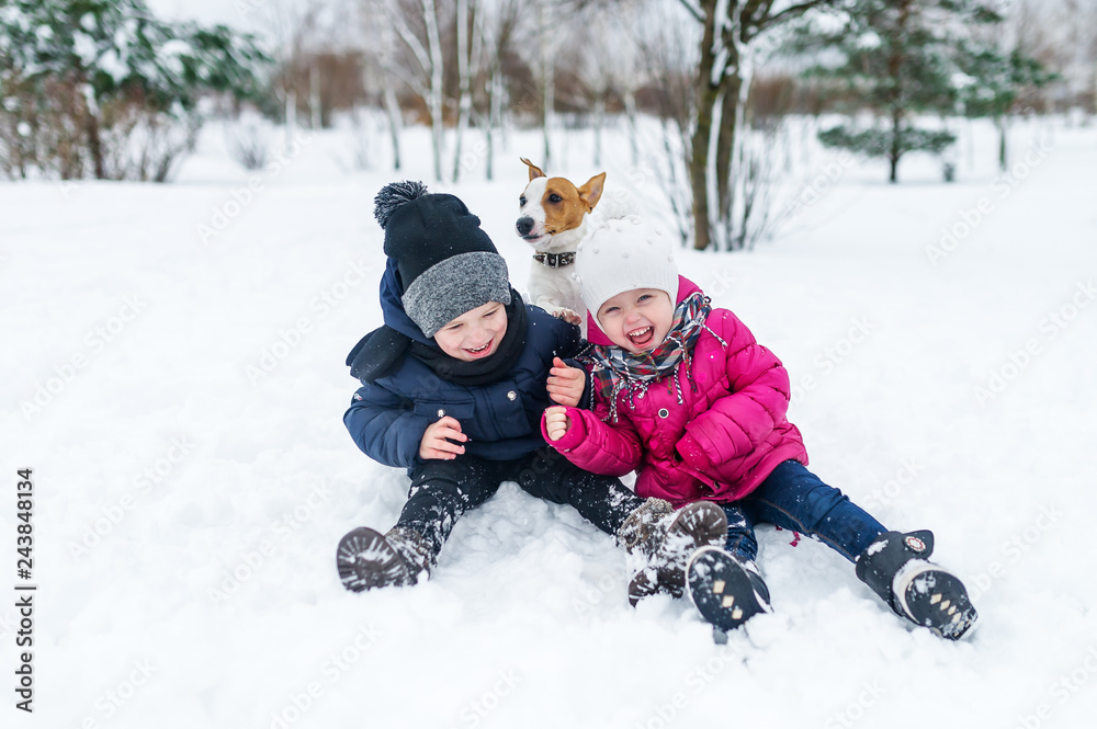 Children playing with Jack Russell terrier puppy in the park in the winter in the snow