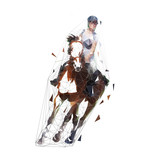 Horse riding, dressage isolated vector low polygonal illustration. Show jumping, equesterian sports