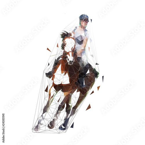 Horse riding, dressage isolated vector low polygonal illustration. Show jumping, equesterian sports