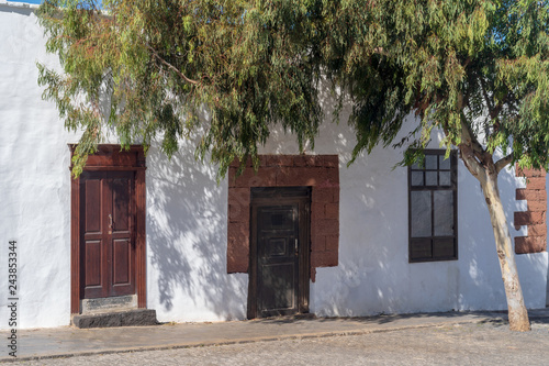 Facade of a typical Canarian house © Dmytro Surkov