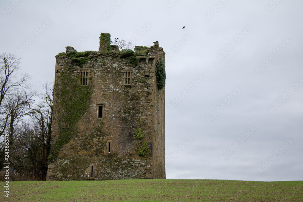 Irish Castle falling to ruin in South West Cork. Medieval marvels, elegant family homes and dramatic ruins, Ireland's remarkable castles are filled with centuries of stories. Irish Castle falling to ruin in South West Cork. Medieval marvels, elegant family homes and dramatic ruins, Ireland's remarkable castles are filled with centuries of stories.