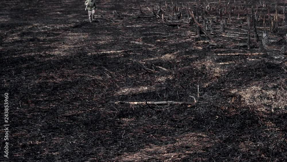 Earth after a fire/Natural disaster. A man with a bottle of water walks along the land burned by fire. There are dead trees, burned grass around him. It's an ecological catastrophe