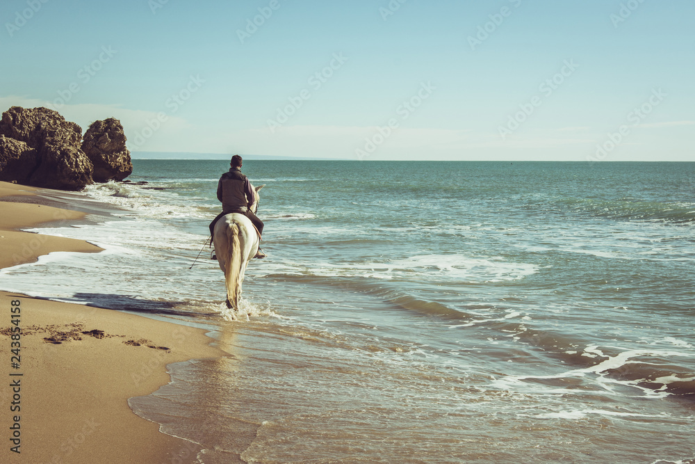 Naklejka premium młody człowiek jeździć na białym koniu na plaży