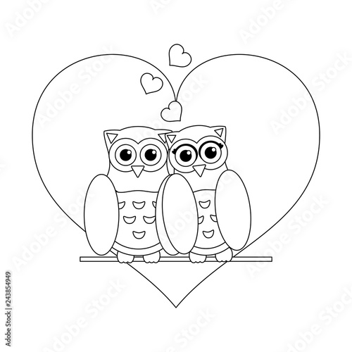 Love and birds