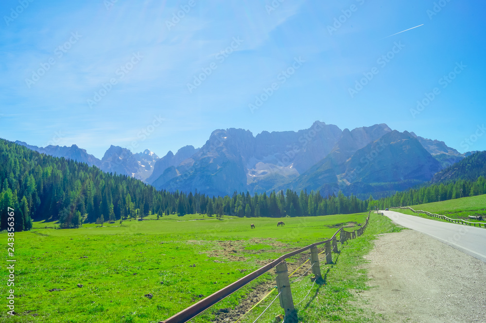 Mountain road landscape with green grass, forest and blue sky