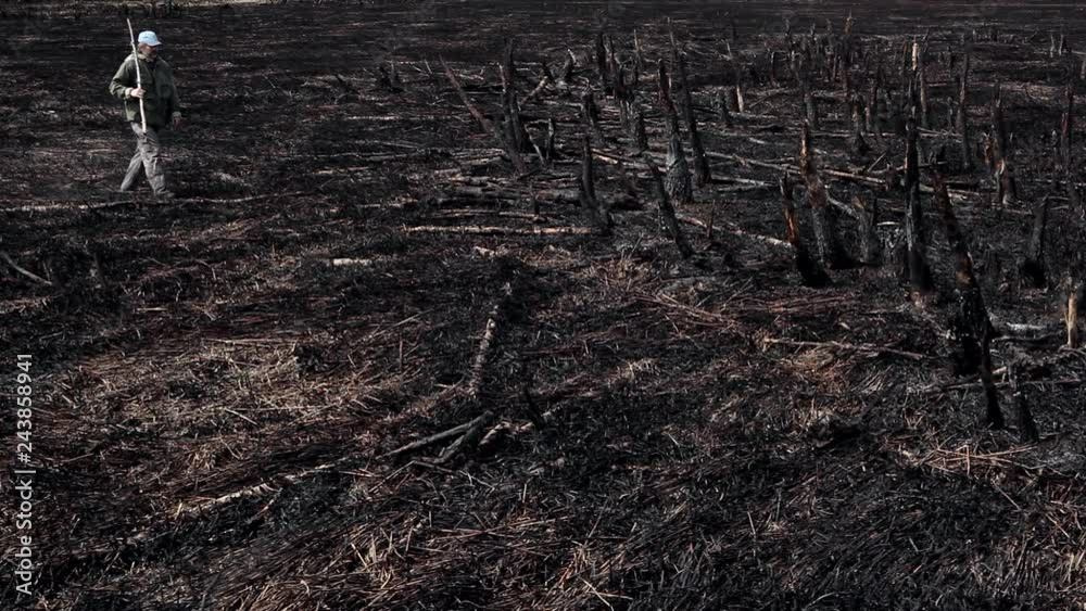 Earth after a fire/Natural disaster. A man with a bottle of water walks along the land burned by fire. There are dead trees, burned grass around him. It's an ecological catastrophe