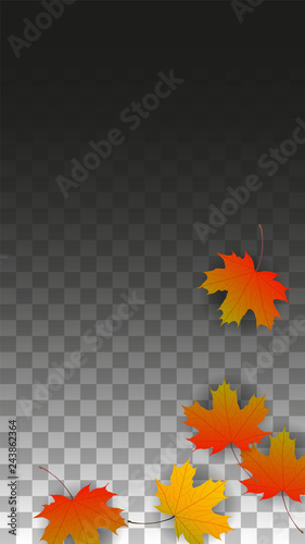 September Vector Background with Golden Falling Leaves. Autumn Illustration with Maple Red, Orange, Yellow Foliage. Isolated Leaf on Transparent Background. Bright Swirl. Suitable for Posters.
