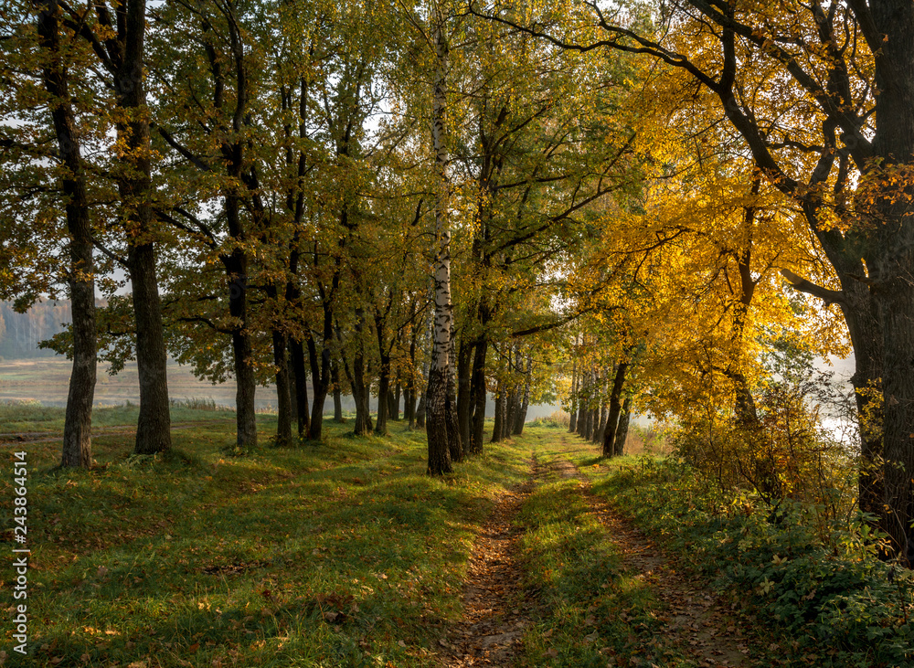 Naklejka premium Autumn landscape.