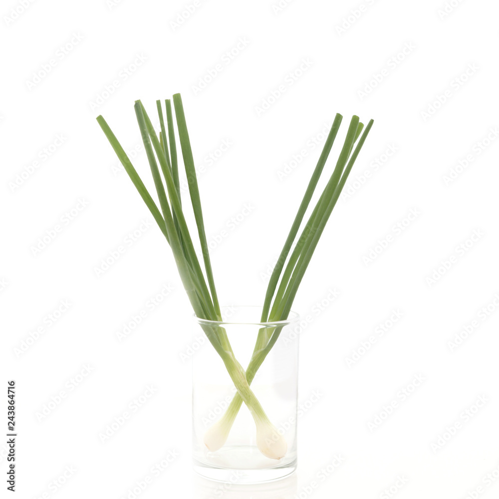 green shallots isolated on white background green shallots isolated on white background