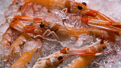 Pink fresh frozen shrimps with ice in a supermarket or fish shop. Uncooked seafood close up background. Fresh frozen prawns, delicacies, sea food concept, close up.