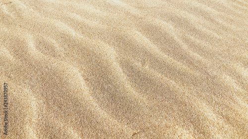 Sand Background Texture