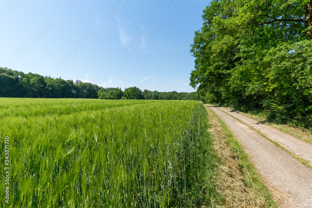 Fototapeta premium Foto 2018 von www.ChristianSchwier.de