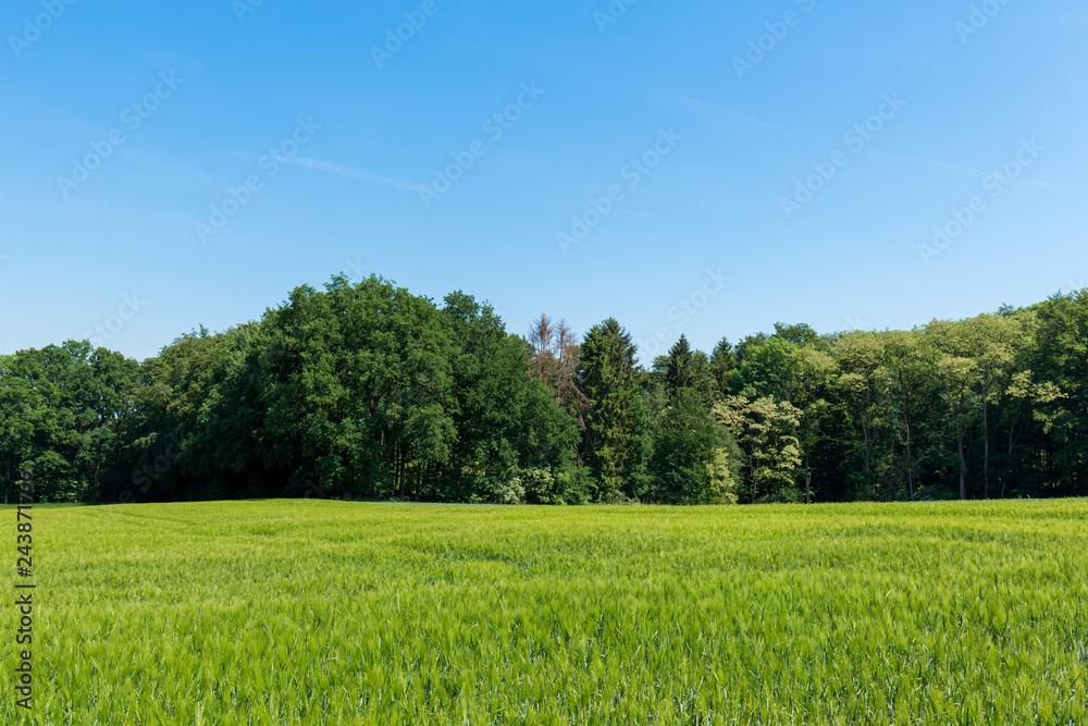 Fototapeta premium Foto 2018 von www.ChristianSchwier.de