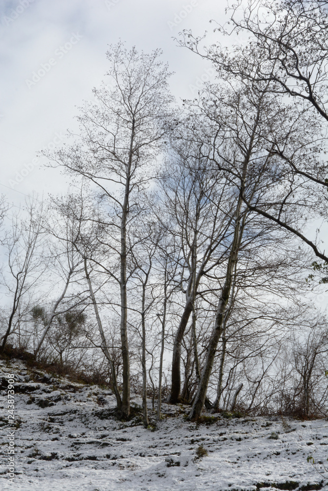 Paesaggio montano innevato, in Campania, Sud Italia. Gennaio 2019.