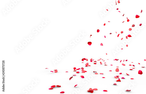 Fototapeta Naklejka Na Ścianę i Meble -  Many rose petals fall on the floor