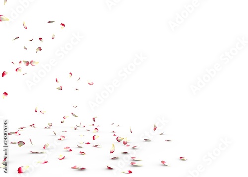 Many rose petals fall on the floor © injenerker