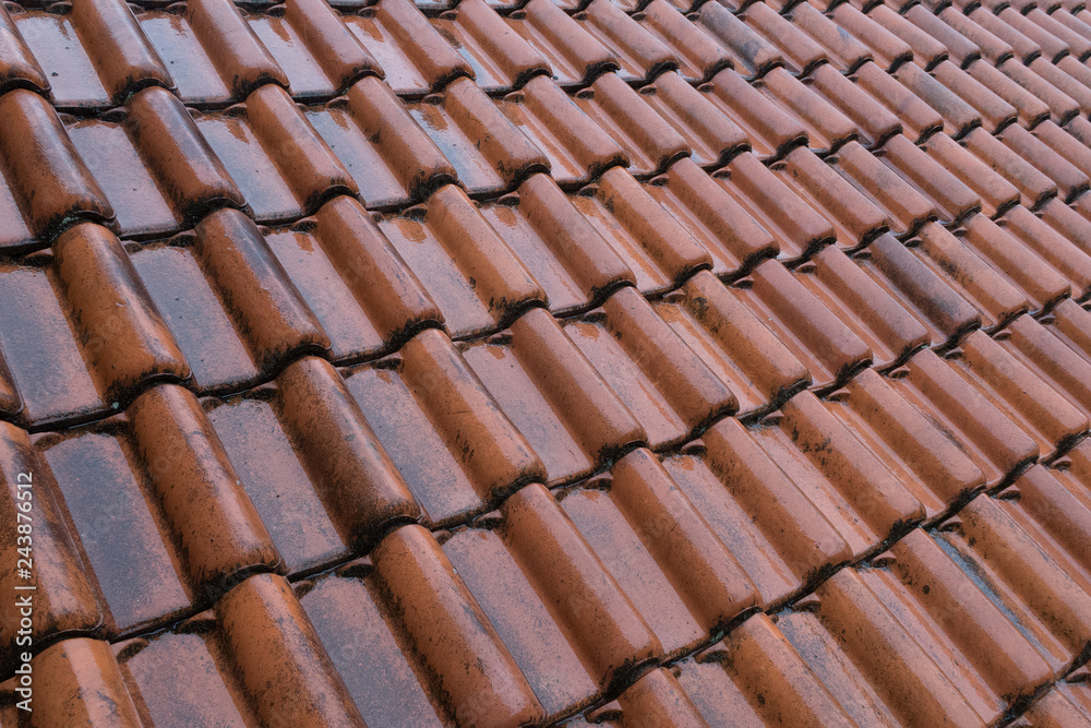 Wet orange roof tiles on the roof of a house
