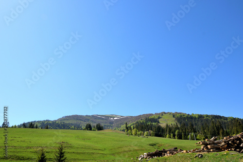 Green hill with grazing horses on the background of the Carpathian Mountains. Bright summer day