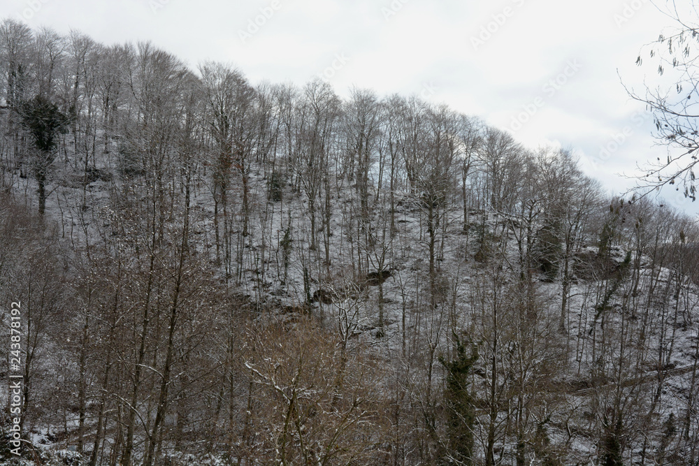 Paesaggio montano innevato, in Campania, Sud Italia. Gennaio 2019. Paesaggio montano innevato, in Campania, Sud Italia. Gennaio 2019.