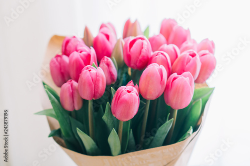Wallpaper Mural bouquet of pink tulips on a white background Torontodigital.ca