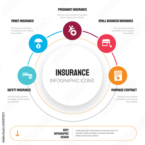 Abstract infographics of insurance template. safety insurance, money pregnancy icons can be used for workflow layout, diagram, business step options, banner, web design.