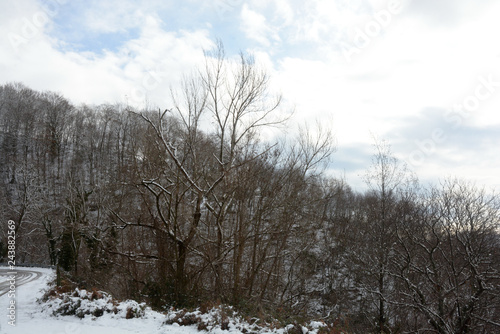 Wallpaper Mural Paesaggio montano innevato, in Campania, Sud Italia. Gennaio 2019.  Torontodigital.ca