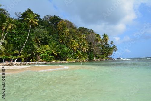 Isla Mamey au Panama - Mamey island in Panama photo
