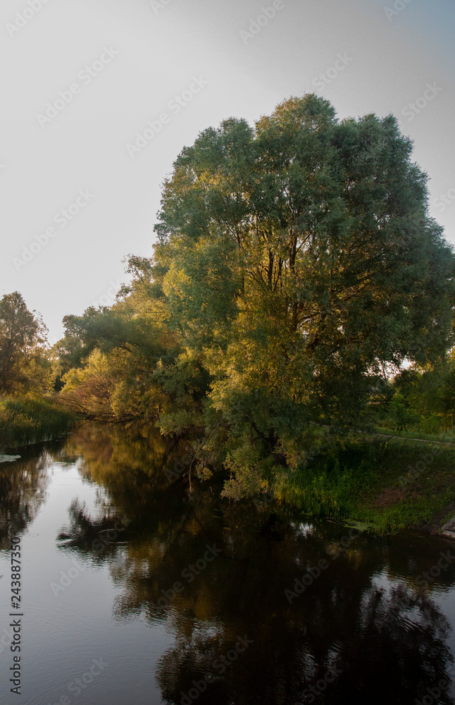 Small river slow flowing across the green forest with reflections of trees in the water. Summer Small river slow flowing across the green forest with reflections of trees in the water. Summer