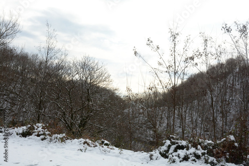 Paesaggio montano innevato, in Campania, Sud Italia. Gennaio 2019. 