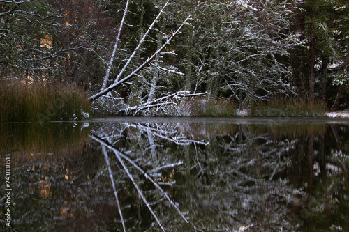 reflections on river and loch of a snowy winter waterscape scene in Scotland during January.