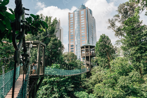 Photography Kuala Lumpur city view from Bukit Nanas Forest Reserve and now called KL Forest Eco-Park