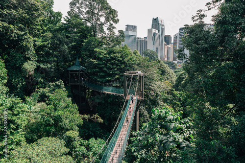 Kuala Lumpur city view from Bukit Nanas Forest Reserve and now called KL Forest Eco-Park. Suspension bridge, walkway to the adventurous, cross to the other side.