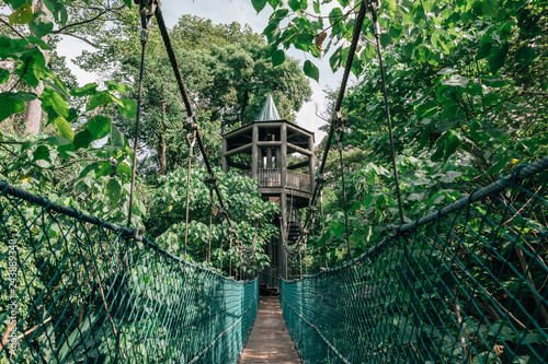 Fototapeta Naklejka Na Ścianę i Meble -  Kuala Lumpur city view from Bukit Nanas Forest Reserve and now called KL Forest Eco-Park. Suspension bridge, walkway to the adventurous, cross to the other side.