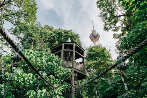 Kuala Lumpur city view from Bukit Nanas Forest Reserve and now called KL Forest Eco-Park. Suspension bridge, walkway to the adventurous, cross to the other side.