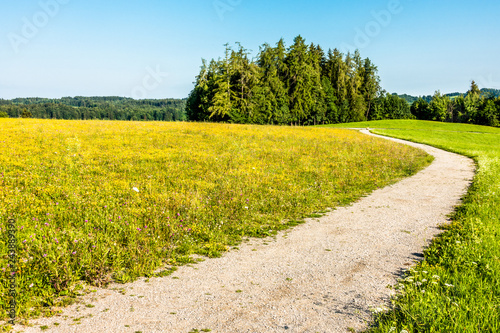old road