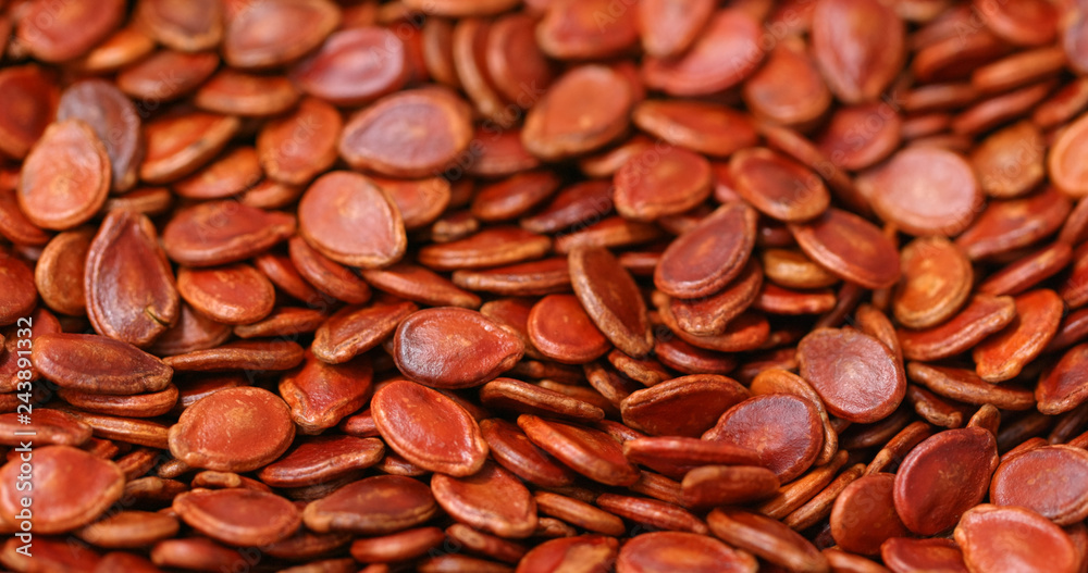 Red watermelon seed Red watermelon seed