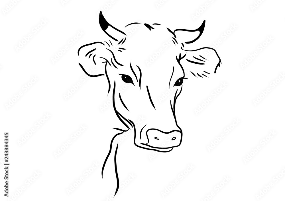 cow line illustration