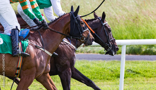 Close up on two Race horses competing in a race