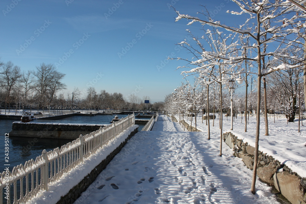 winter landscape with river in winter