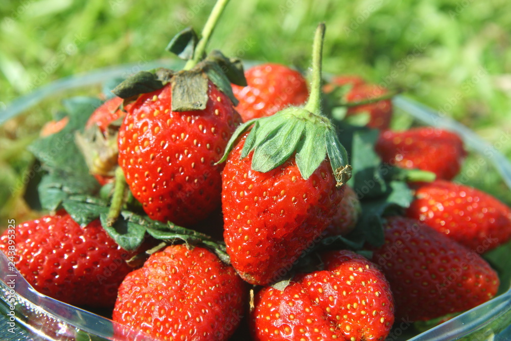 close up red strawberry on green grass background close up red strawberry on green grass background